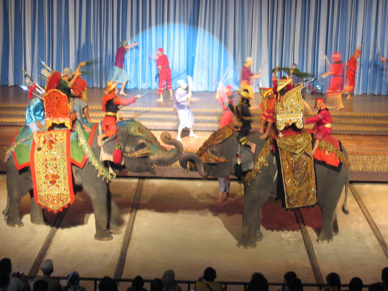 Elephant show